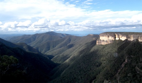 Kanangra-Boyd Lookout, Kanangra-Boyd National Park. Photo: Jules Bros/NSW Government