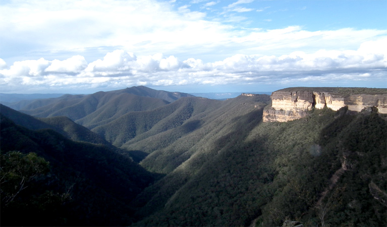 Kanangra-Boyd Lookout, Kanangra-Boyd National Park. Photo: Jules Bros/NSW Government