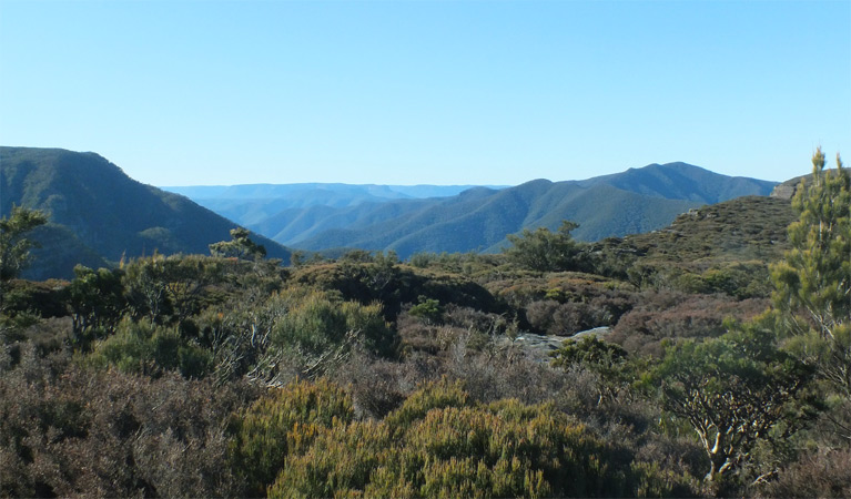 Kanangra-Boyd Lookout, Kanangra-Boyd National Park. Photo: M Jones/NSW Government