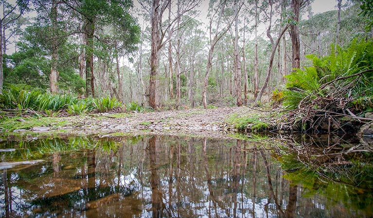 Mount Emperor loop, Kanangra-Boyd National Park. Photo: Nick Cubbin