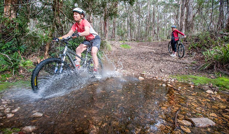 Mount Emperor loop, Kanangra-Boyd National Park. Photo: Nick Cubbin