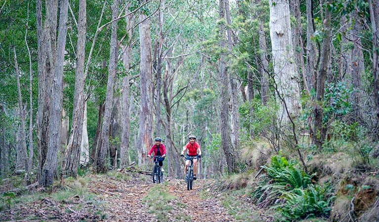 Mount Emperor loop, Kanangra-Boyd National Park. Photo: Nick Cubbin