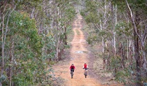 Mount Emperor loop, Kanangra-Boyd National Park. Photo: Nick Cubbin