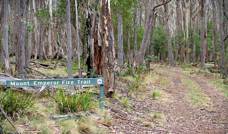 Mount Emperor loop, Kanangra-Boyd National Park. Photo: Nick Cubbin