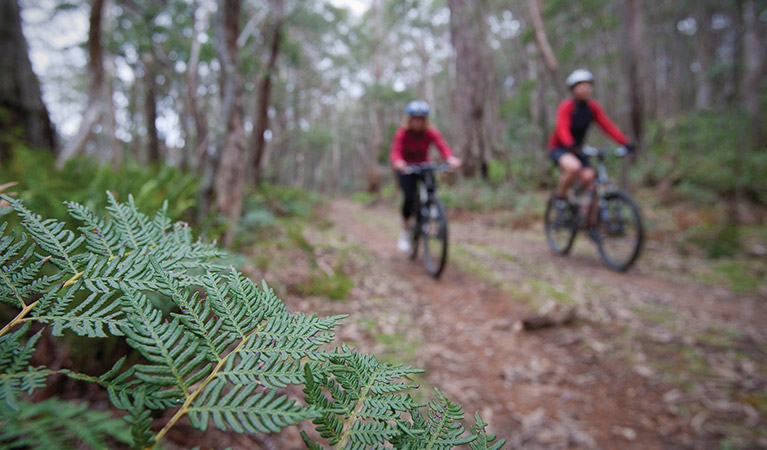 Two cyclists on Boyd River loop trail in Kanangra-Boyd National Park. Photo: Nick Cubbin &copy; DPIE