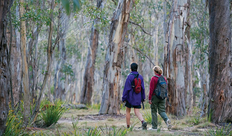 Two people walk on Morong Falls trail, Kanangra-Boyd National Park. Photo: Nick Cubbin &copy; DPIE