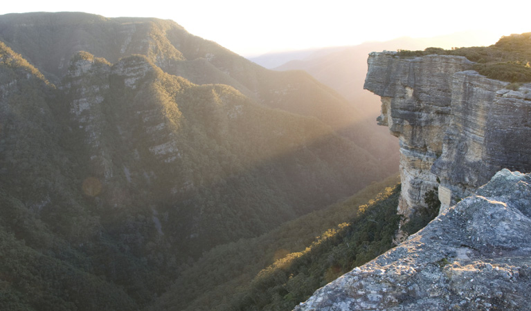 Kanangra-Boyd Lookout, Kanangra-Boyd National Park. Photo: NSW Government