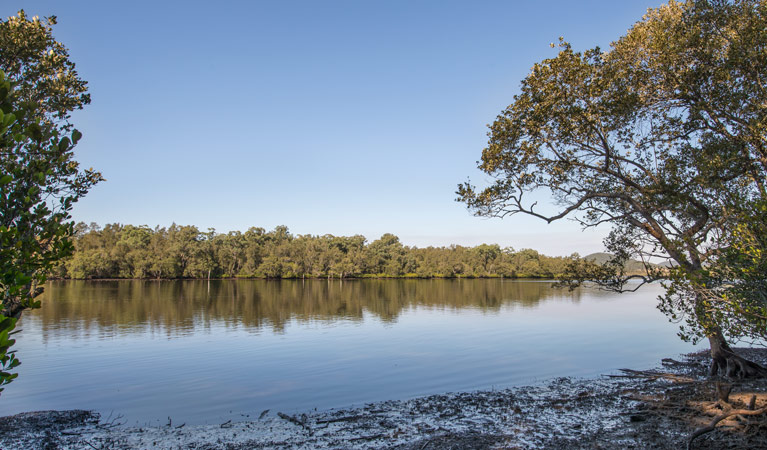 Double Wharf picnic area, Karuah National Park. Photo: John Spencer/NSW Government