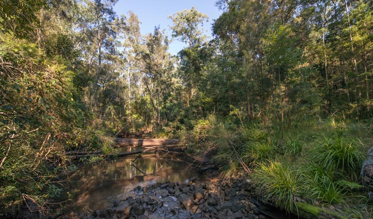 Double Wharf picnic area, Karuah National Park. Photo: John Spencer/NSW Government