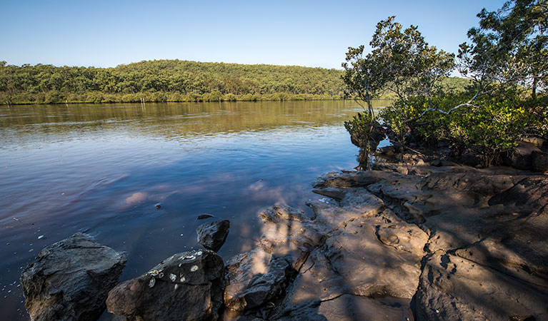 Little Mountain Campground, Karuah National Park. Photo: John Spencer/NSW Government