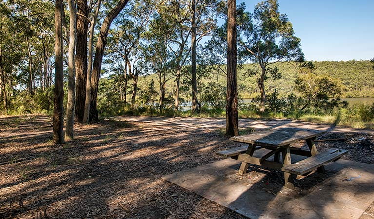 Little Mountain Campground, Karuah National Park. Photo: John Spencer/NSW Government