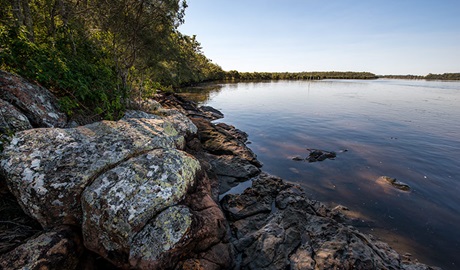 Little Mountain Campground, Karuah National Park. Photo: John Spencer/NSW Government