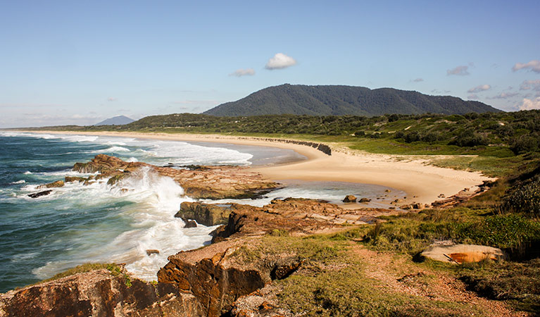 Kattang Nature Reserve: Photo: NSW Government