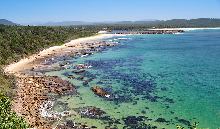 Kattang Nature Reserve: Photo: NSW Government