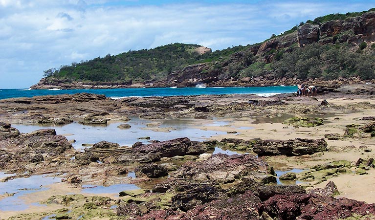 Kattang Nature Reserve: Photo: NSW Government