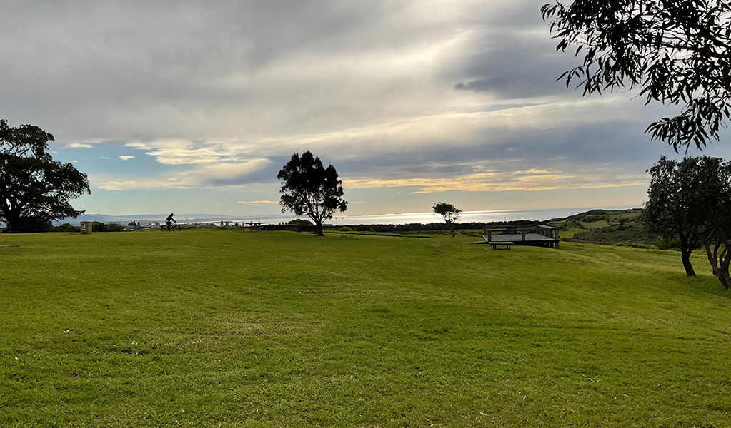 Parkland overlooking ocean from Frasers Headland in Killalea Regional Park. &copy; DPE