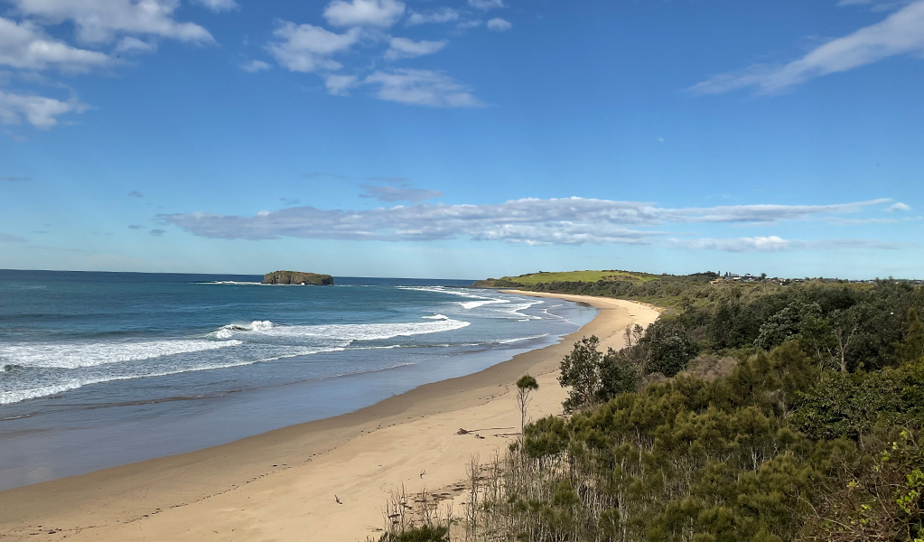 Beach views in Killalea Regional Park. &copy; DPE