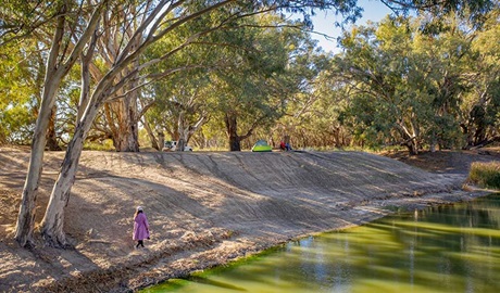 Campsite along the bank of Darling River in Kinchega National Park. Photo: John Spencer/DPIE