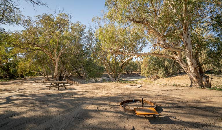 Picnic table and fire ring at campsite 34 in Darling RIver campground. Photo: John Spencer/DPIE