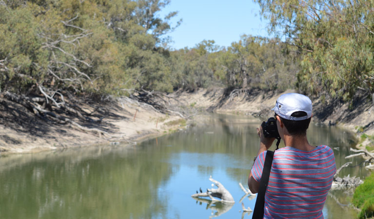 Kinchega Homestead billabong walk, Kinchega National Park. Photo: Dinitee Haskard