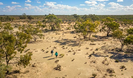 Aerial view of open sand plains on the Kinchega Homestead billabong walk. Photo: John Spencer &copy; OEH