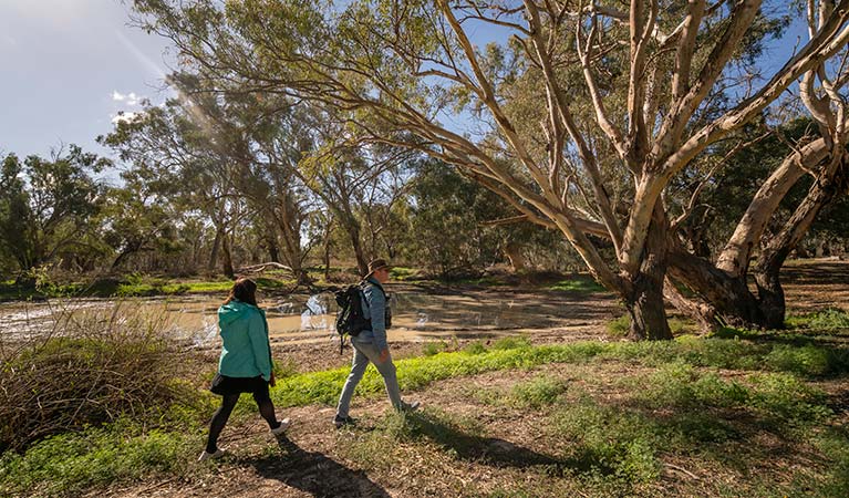 Walking past the billabong on the Kinchega Homestead billabong walk. Photo: John Spencer &copy; OEH