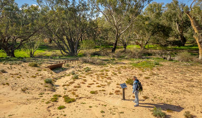 Walker reading the interpretative sign at the start of  Kinchega Homestead billabong walk. Photo: John Spencer &copy; OEH