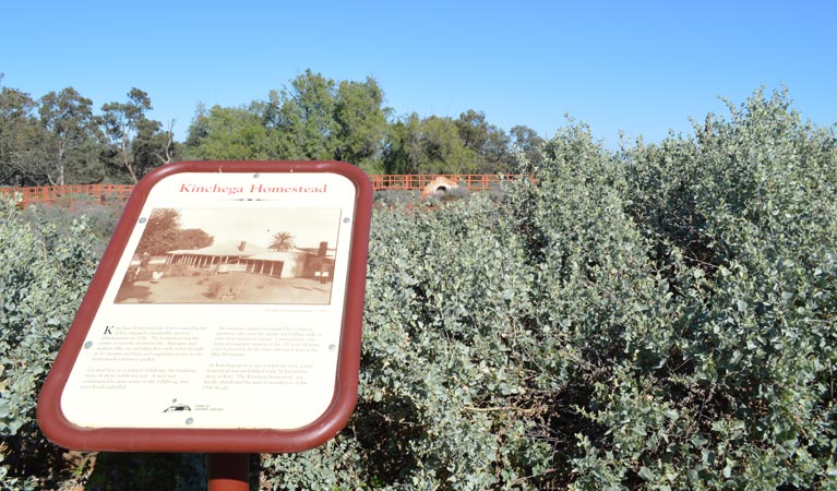 Old Kinchega Homestead, Kinchega National Park. Photo: D Haskard/OEH.