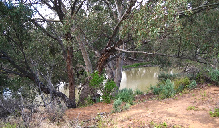 Old Kinchega Homestead, Kinchega National Park. Photo: Dina Bullivant