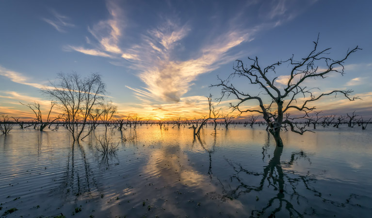 Lake Menindee, Kinchega National Park. Photo: John Spencer