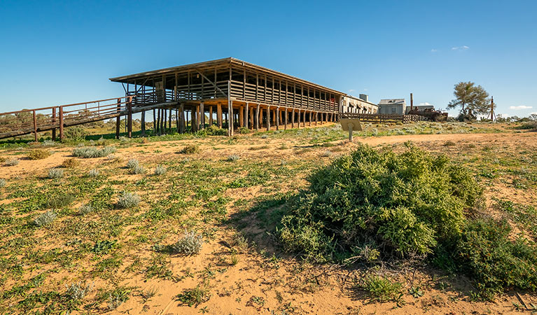 Kinchega woolshed. Photo: John Spencer/DPIE