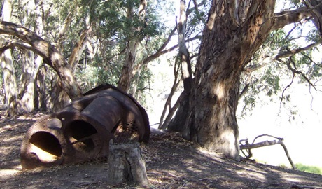 PS Providence, Kinchega National Park. Photo: NSW Government