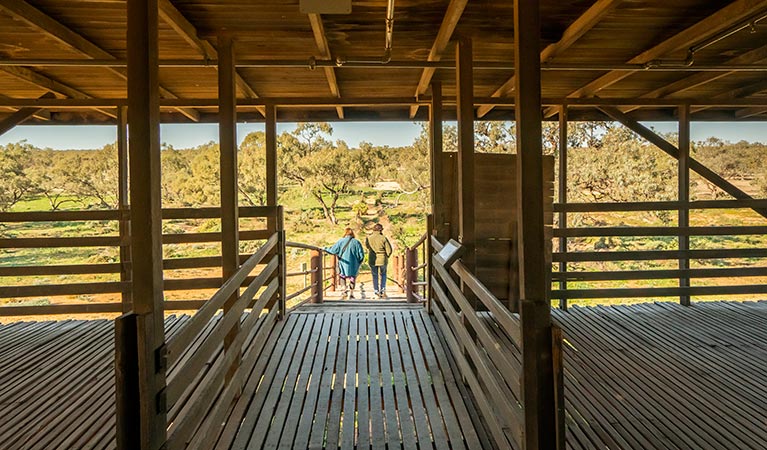 View of the trees from inside Kinchega Woolshed. Photo: John Spencer/DPIE