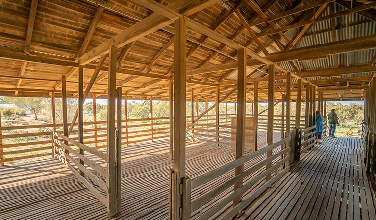 Inside Kinchega Woolshed. Photo: John Spencer/DPIE