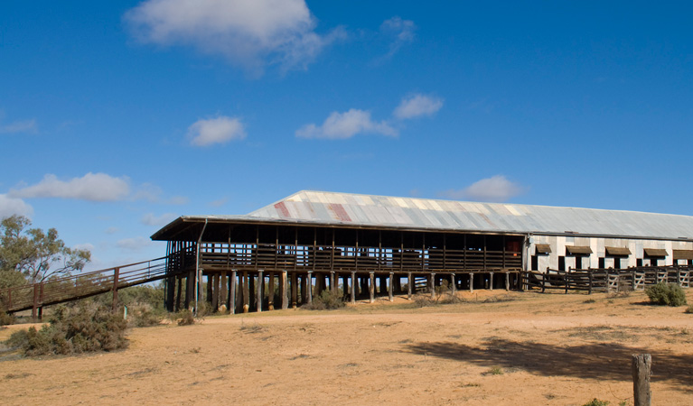 Historic Kinchega Woolshed, Kinchega National Park. Photo: David Finnegan