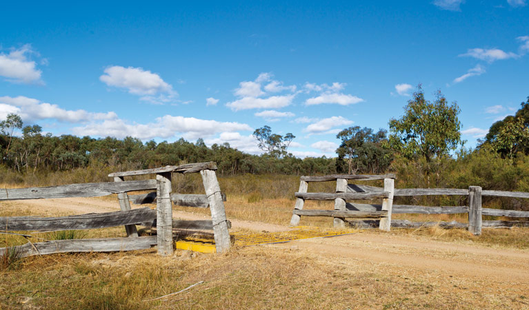 Kings Plains National Park. Photo: Robert Cleary/OEH