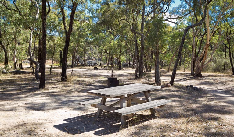 Ironbark Creek camping area, Kings Plains National Park. Photo: Robert Cleary/OEH