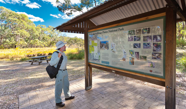 Kings Plain Creek campground. Photo: Rob Cleary/NSW Government