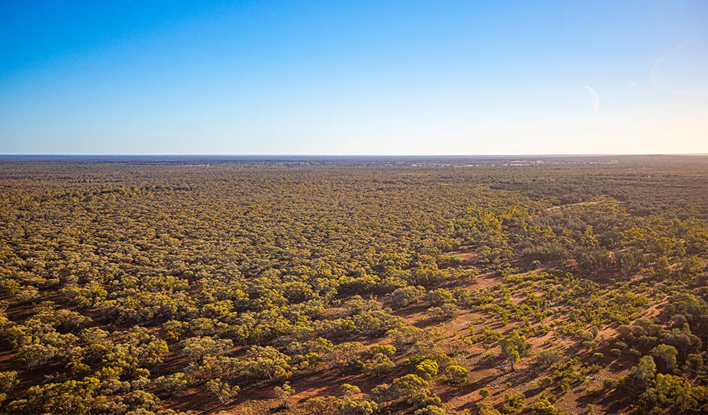 Aerial view of Koonaburra National Park. Photo: Joshua Smith &copy; DPE