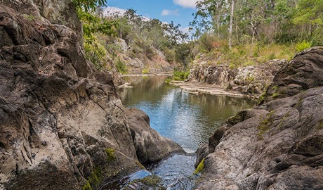 Gorge walking track, Koreelah National Park. Photo &copy; David Young