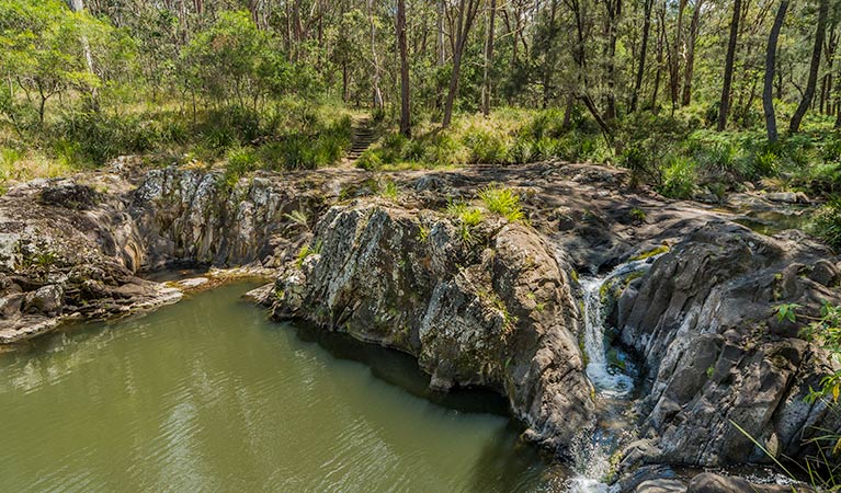 Gorge walking track, Koreelah National Park. Photo &copy; David Young