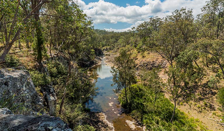 Gorge walking track, Koreelah National Park. Photo &copy; David Young