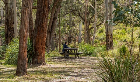 Koreelah Creek campground, Koreelah National Park. Photo: David Young