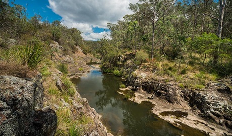 Gorge walking track, Koreelah National Park. Photo: David Young &copy; David Young