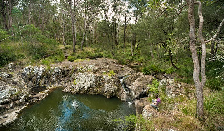 Gorge walking track, Koreelah National Park. Photo: David Young &copy; David Young