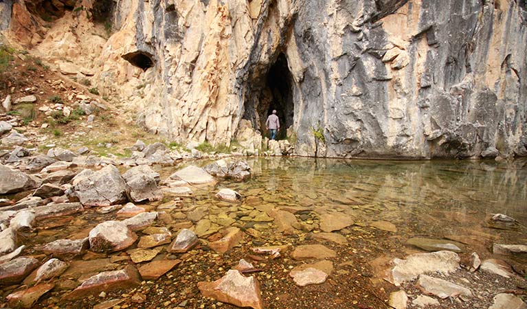 Blue Waterholes campground, Kosciuszko National Park. Photo: Elinor Sheargold/DPIE