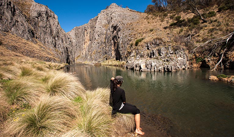 Clarke Gorge walking track , Kosciuszko National Park. Photo: Murray Vanderveer &copy; OEH