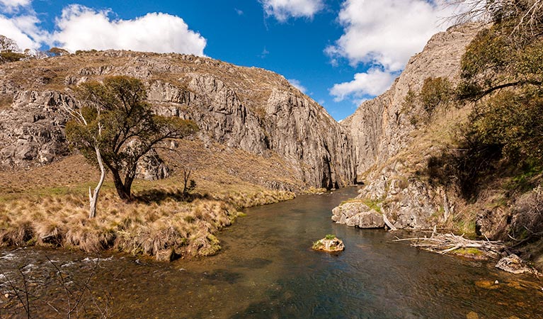 Clarke George track , Kosciuszko National Park. Photo: Murray Vanderveer &copy; OEH