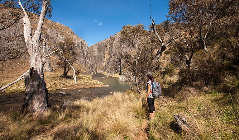 Clarke George track , Kosciuszko National Park. Photo: Murray Vanderveer &copy; OEH