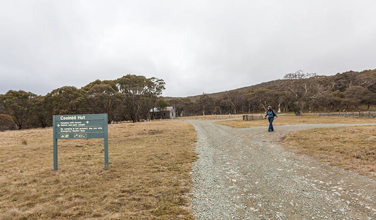 Cooinbil Hut campground, Kosciuszko National Park. Photo: Murray Vandaveer/NSW Government